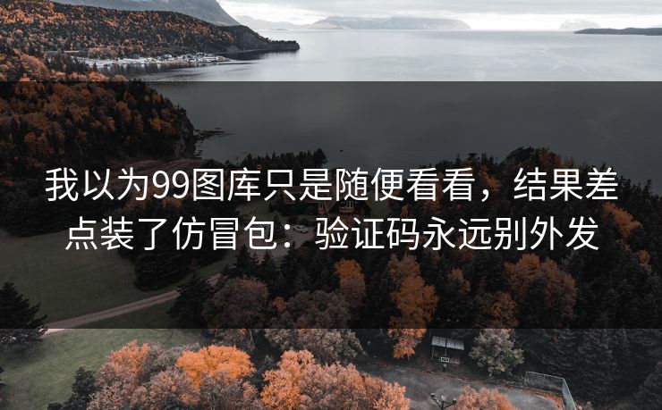 我以为99图库只是随便看看，结果差点装了仿冒包：验证码永远别外发